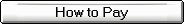 how to pay Petlins