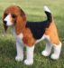 Beagle felting kit
