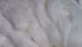 Angora (Bunny) fibre in sliver form - 100gms