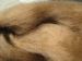 Camel Fibre - 500grams