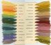 Gaywool Dyes - Bush Blends
