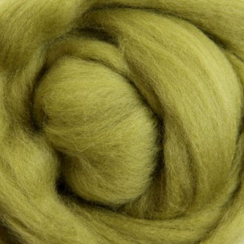 Wool Sliver - Bean Sprout M