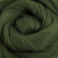 Wool Sliver - Fern M