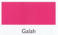 Galah Dye