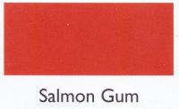 Salmon Gum Dye