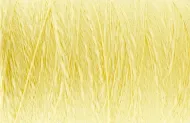 Cotton slub yarn - mais 661