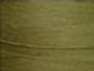 Olive 1244 Cotton 8/2