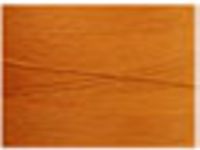 Orange brule 8265 Cotton 8/2