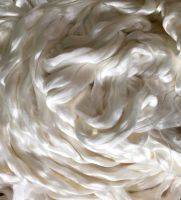 Silk Sliver  white - 100gms