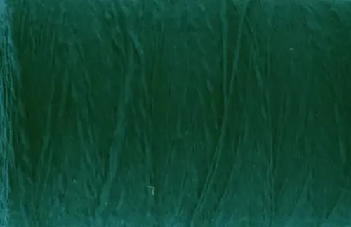 Cotton slub yarn - vert fonce 629